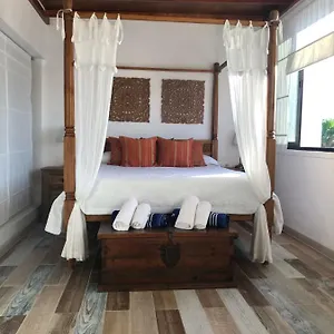 https://la-aurora.in-canary-islands.com